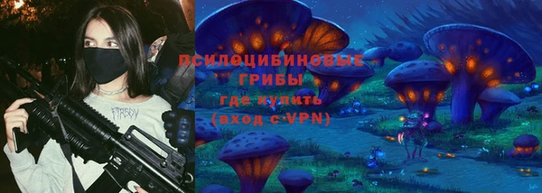 a pvp Аркадак